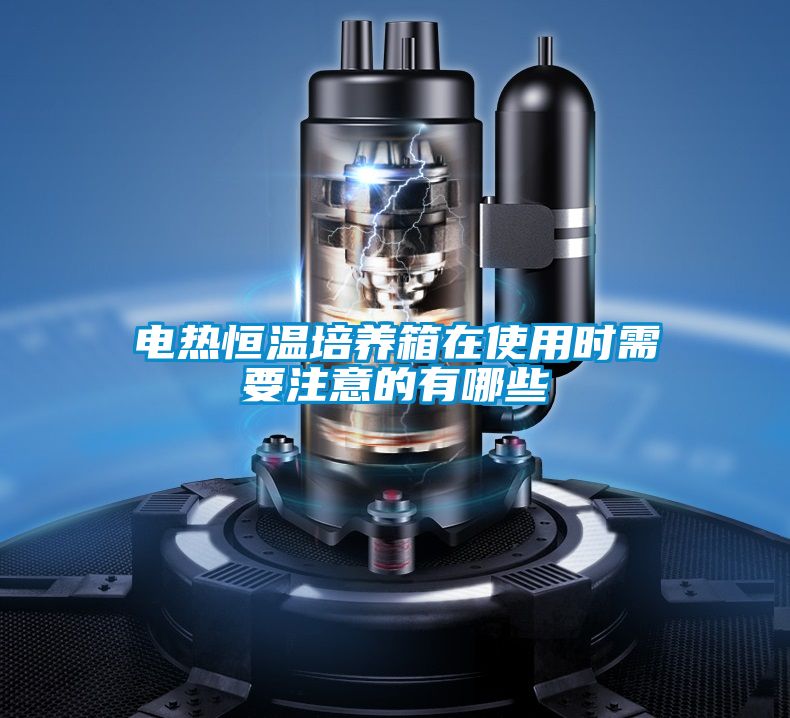 电热恒温培养箱在使用时需要注意的有哪些