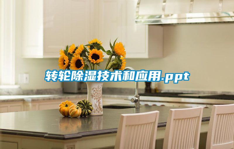 转轮除湿技术和应用.ppt
