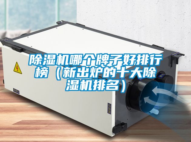 除湿机哪个牌子好排行榜（新出炉的十大除湿机排名）