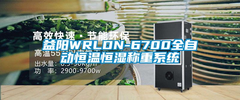 益阳WRLDN-6700全自动恒温恒湿称重系统