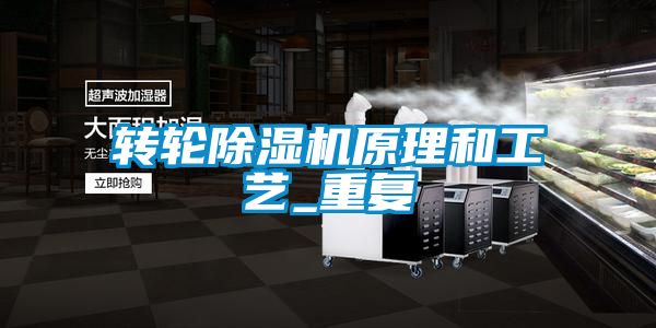 转轮除湿机原理和工艺_重复
