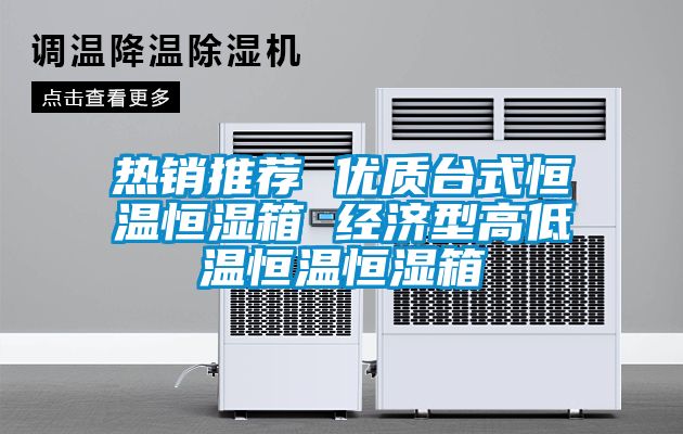 热销推荐 优质台式恒温恒湿箱 经济型高低温恒温恒湿箱