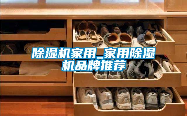 除湿机家用_家用除湿机品牌推荐