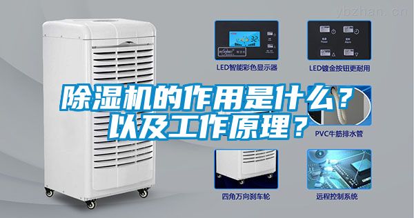 除湿机的作用是什么？以及工作原理？