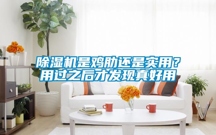除湿机是鸡肋还是实用？用过之后才发现真好用