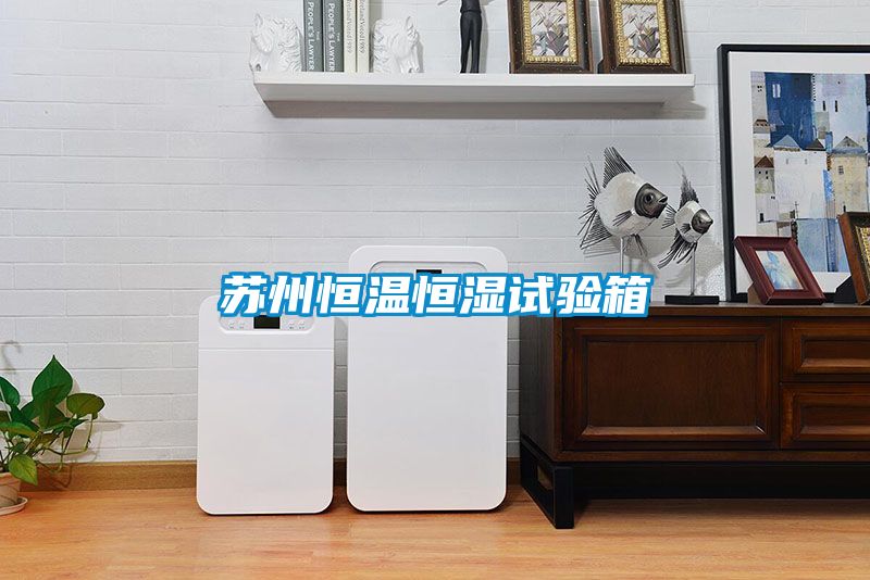 苏州恒温恒湿试验箱