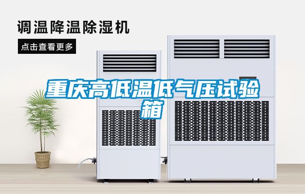 重庆高低温低气压试验箱