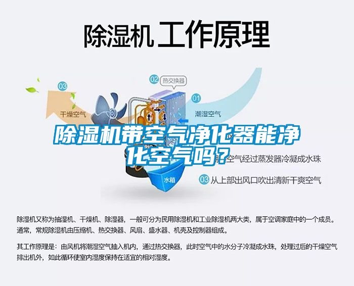 除湿机带空气净化器能净化空气吗？