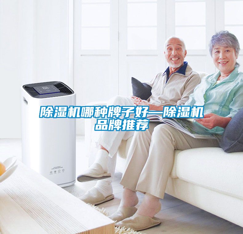 除湿机哪种牌子好—除湿机品牌推荐
