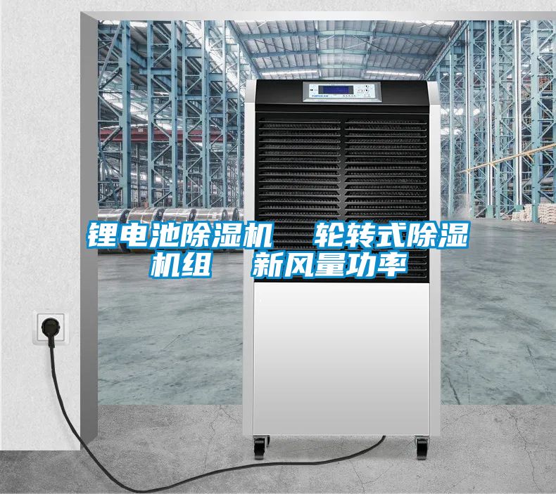 锂电池除湿机  轮转式除湿机组  新风量功率