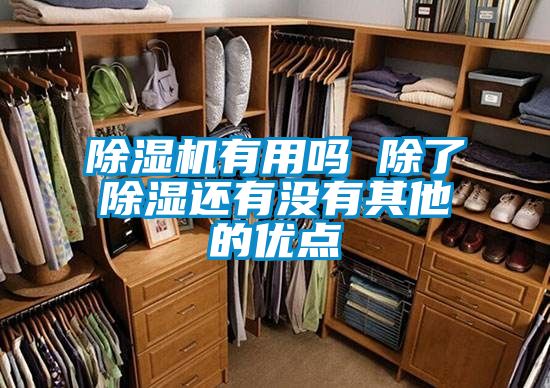 除湿机有用吗 除了除湿还有没有其他的优点