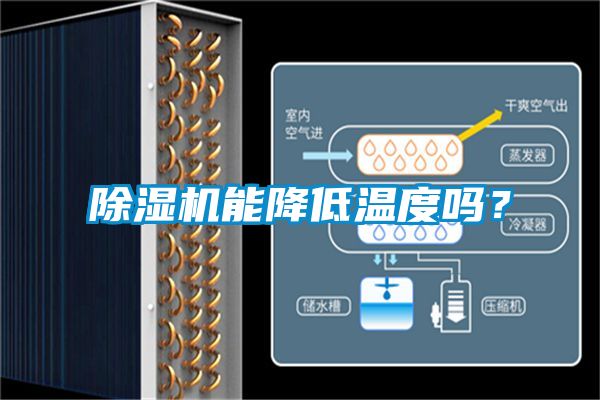 除湿机能降低温度吗？