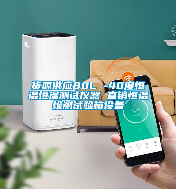 货源供应80L -40度恒温恒湿测试仪器 直销恒温检测试验箱设备