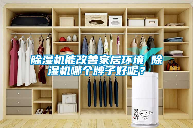 除湿机能改善家居环境 除湿机哪个牌子好呢？