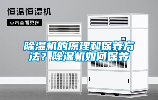 除湿机的原理和保养方法？除湿机如何保养