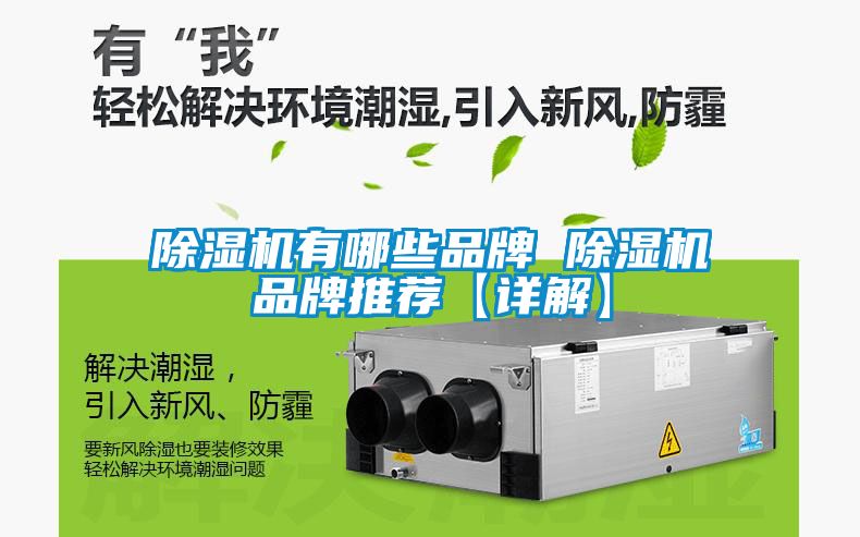 除湿机有哪些品牌 除湿机品牌推荐【详解】