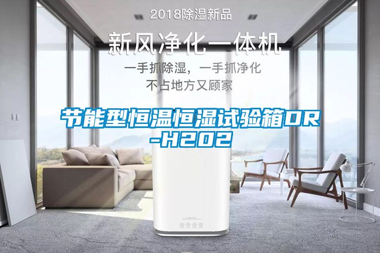 节能型恒温恒湿试验箱DR-H202