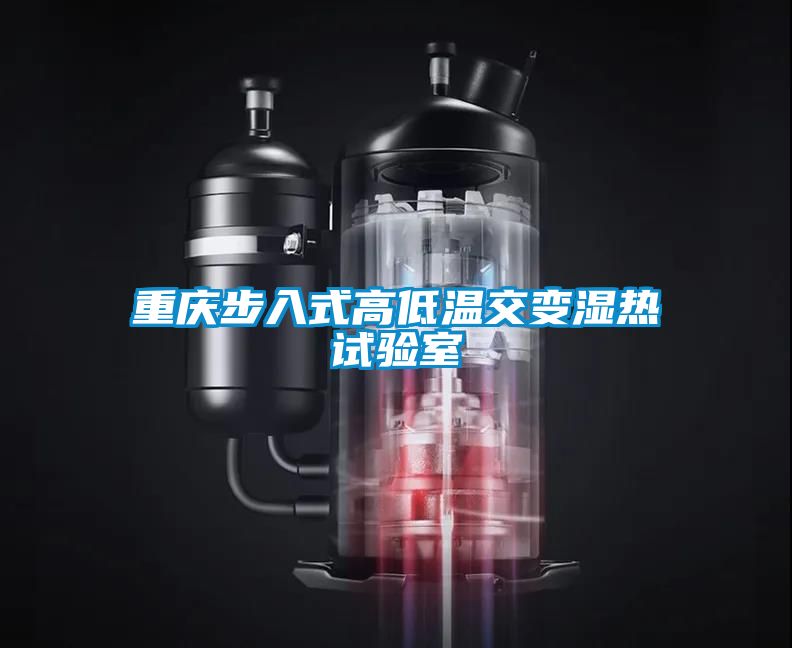 重庆步入式高低温交变湿热试验室