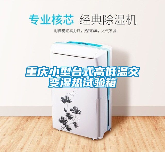 重庆小型台式高低温交变湿热试验箱