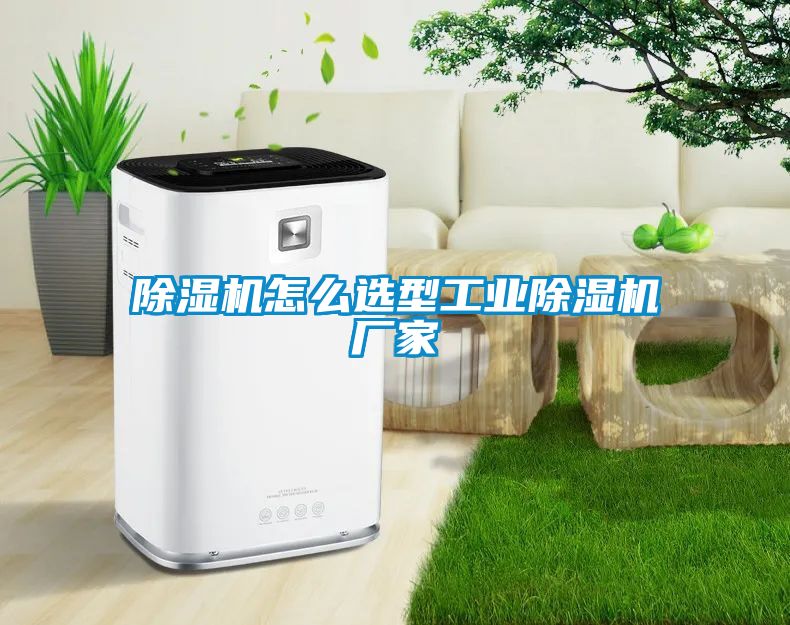 除湿机怎么选型工业除湿机厂家