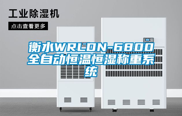 衡水WRLDN-6800全自动恒温恒湿称重系统