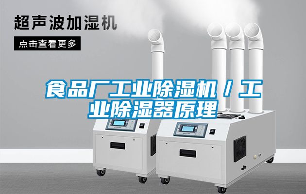 食品厂工业除湿机／工业除湿器原理