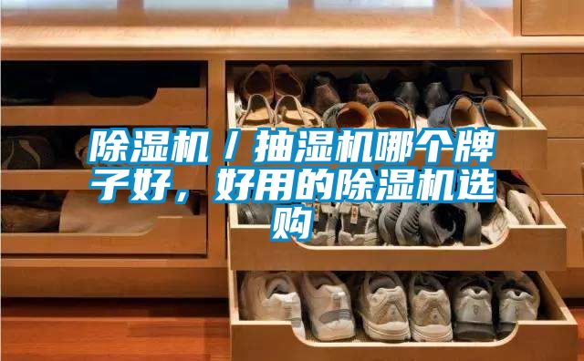 除湿机／抽湿机哪个牌子好，好用的除湿机选购