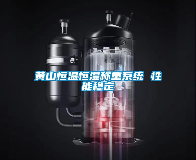 黄山恒温恒湿称重系统 性能稳定