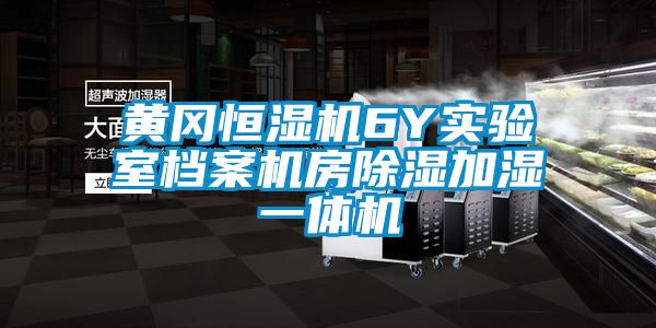 黄冈恒湿机6Y实验室档案机房除湿加湿一体机