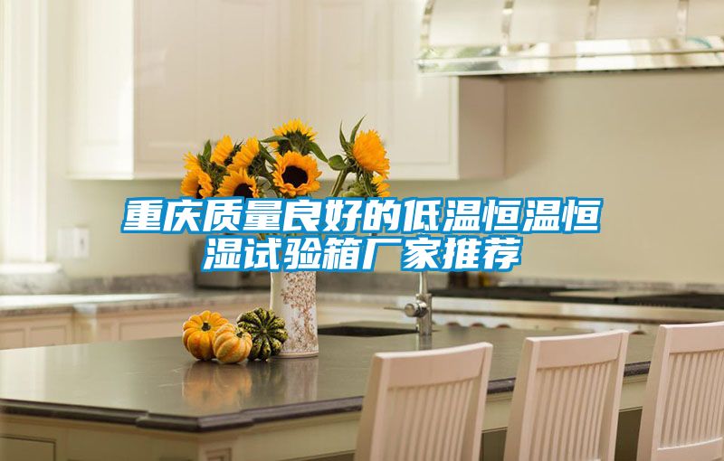 重庆质量良好的低温恒温恒湿试验箱厂家推荐