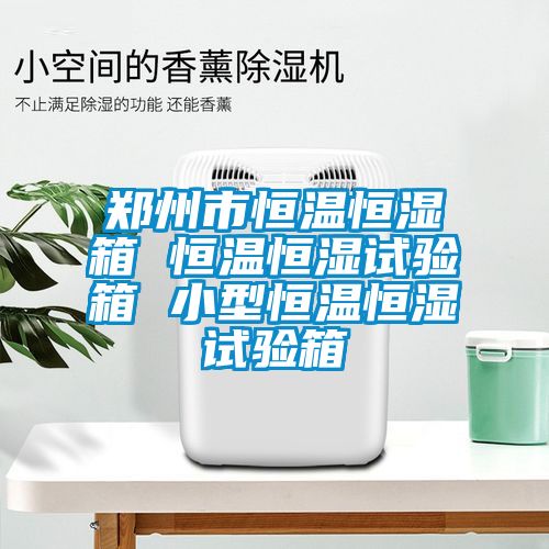 郑州市恒温恒湿箱 恒温恒湿试验箱 小型恒温恒湿试验箱