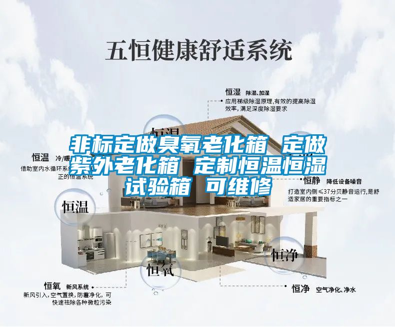非标定做臭氧老化箱 定做紫外老化箱 定制恒温恒湿试验箱 可维修