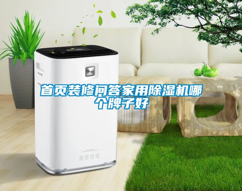 首页装修问答家用除湿机哪个牌子好