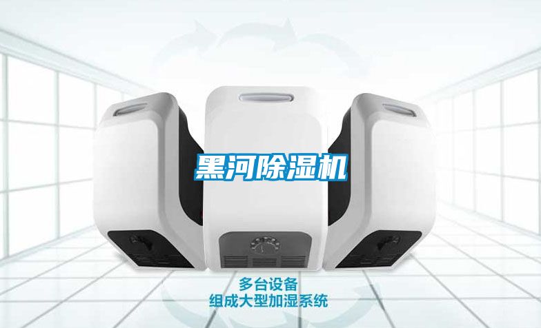 黑河除湿机