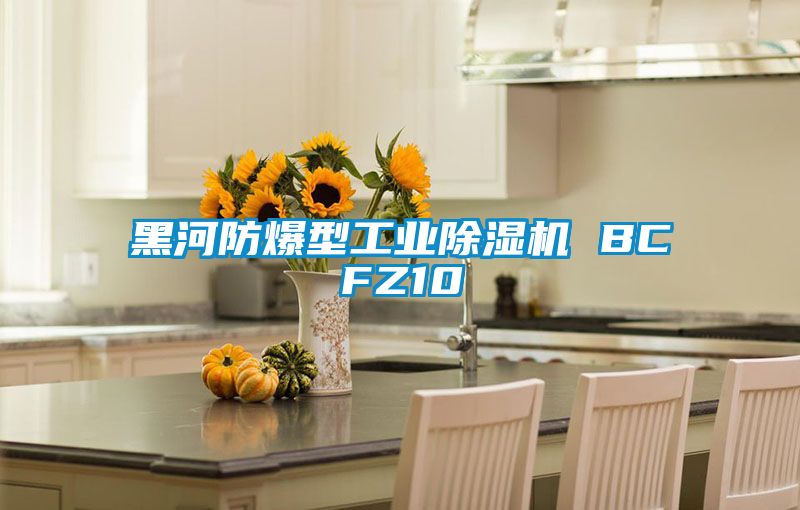 黑河防爆型工业除湿机 BCFZ10