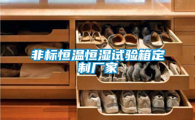 非标恒温恒湿试验箱定制厂家