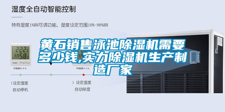 黄石销售泳池除湿机需要多少钱,实力除湿机生产制造厂家