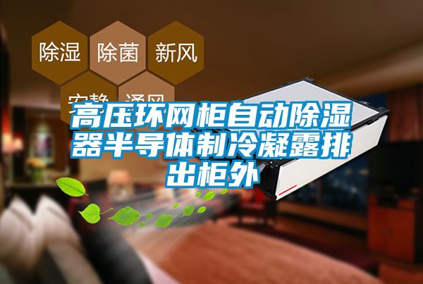 高压环网柜自动除湿器半导体制冷凝露排出柜外