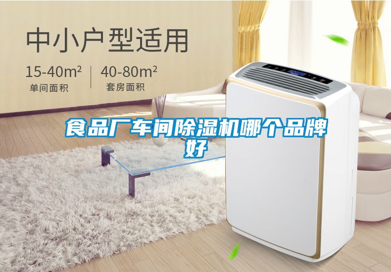食品厂车间除湿机哪个品牌好