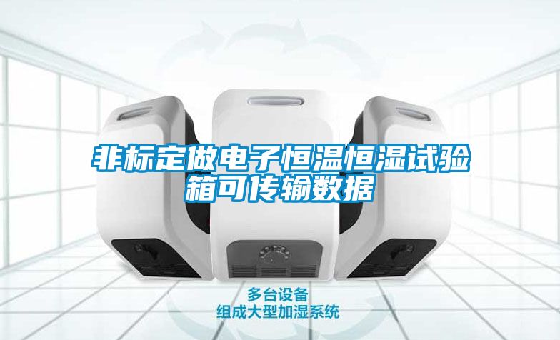 非标定做电子恒温恒湿试验箱可传输数据