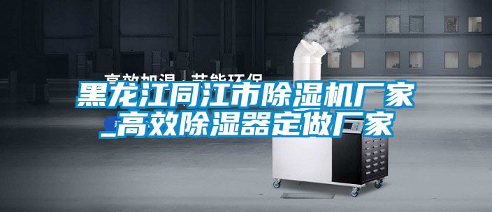 黑龙江同江市除湿机厂家_高效除湿器定做厂家
