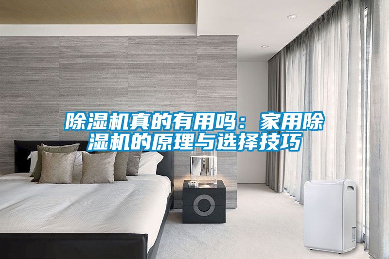 除湿机真的有用吗：家用除湿机的原理与选择技巧