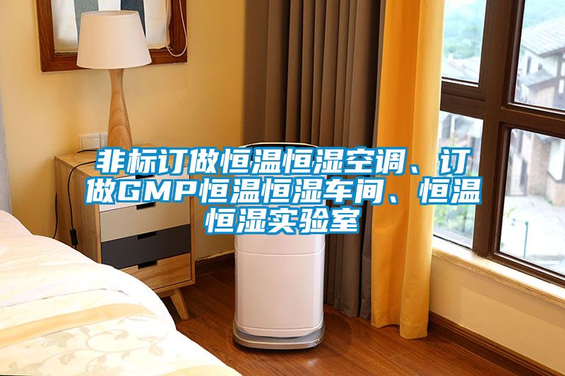 非标订做恒温恒湿空调、订做GMP恒温恒湿车间、恒温恒湿实验室