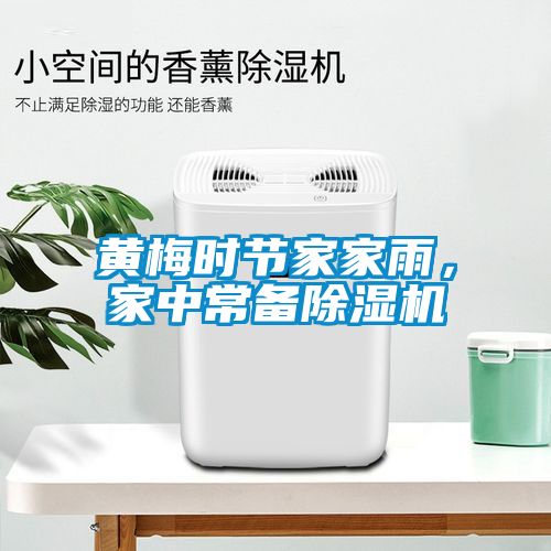黄梅时节家家雨，家中常备除湿机