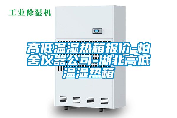 高低温湿热箱报价-柏舍仪器公司-湖北高低温湿热箱