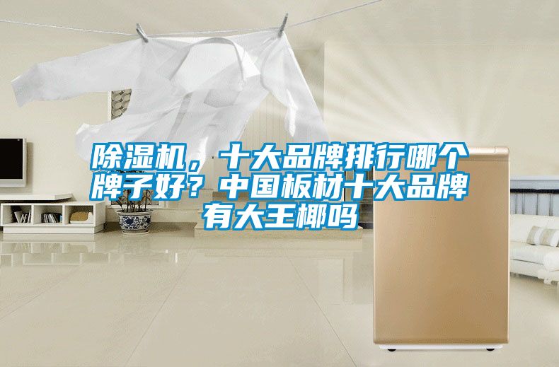 除湿机，十大品牌排行哪个牌子好？中国板材十大品牌有大王椰吗
