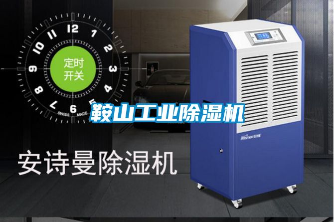 鞍山工业除湿机