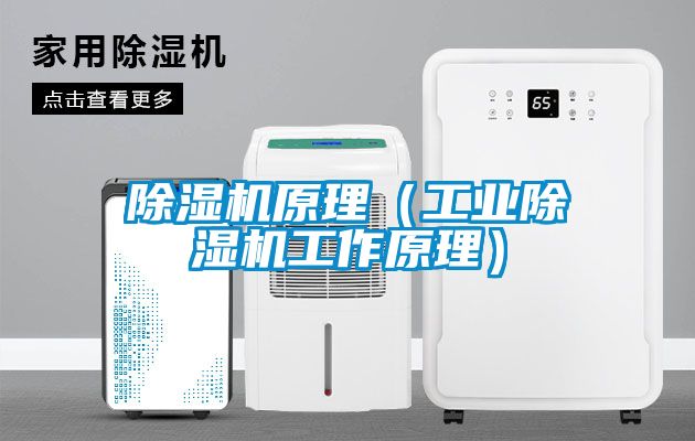 除湿机原理（工业除湿机工作原理）