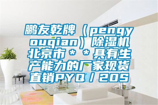鹏友乾牌（pengyouqian）除湿机北京市＊＊具有生产能力的厂家现货直销PYQ／20S