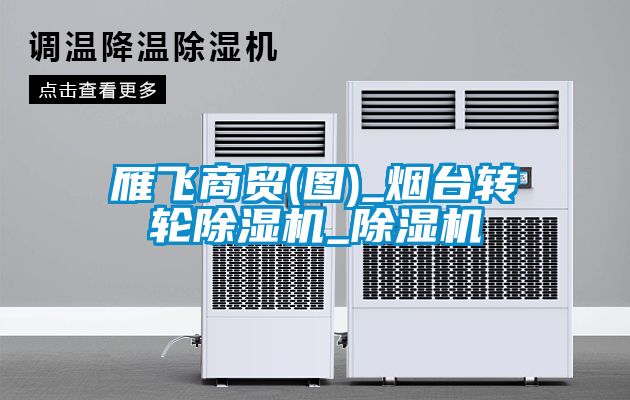 雁飞商贸(图)_烟台转轮除湿机_除湿机